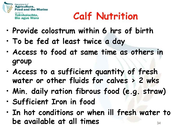 Calf Nutrition • Provide colostrum within 6 hrs of birth • To be fed