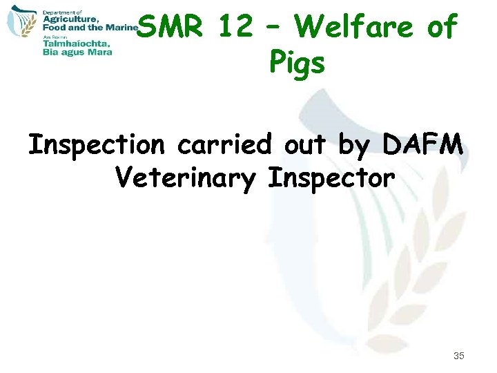 SMR 12 – Welfare of Pigs Inspection carried out by DAFM Veterinary Inspector 35