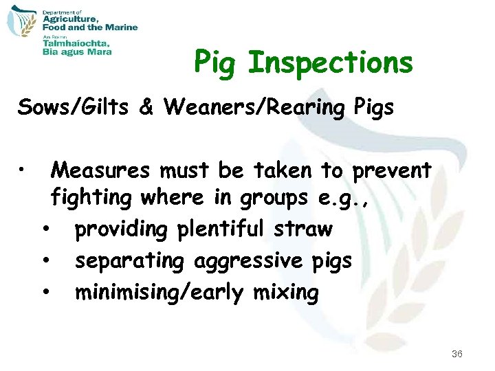 Pig Inspections Sows/Gilts & Weaners/Rearing Pigs • Measures must be taken to prevent fighting