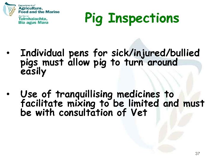 Pig Inspections • Individual pens for sick/injured/bullied pigs must allow pig to turn around