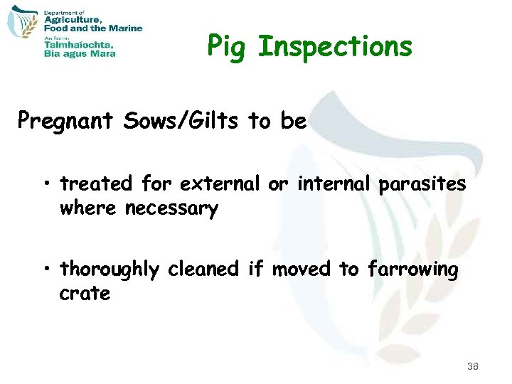Pig Inspections Pregnant Sows/Gilts to be • treated for external or internal parasites where