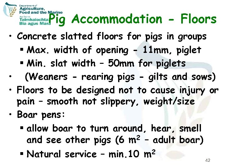 Pig Accommodation - Floors • Concrete slatted floors for pigs in groups § Max.