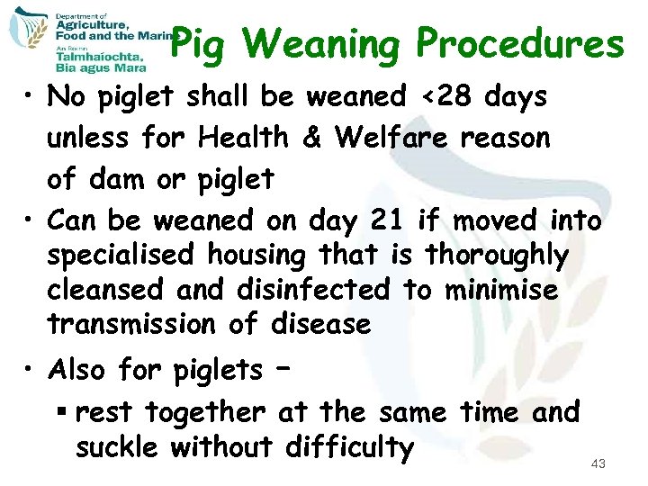 Pig Weaning Procedures • No piglet shall be weaned <28 days unless for Health