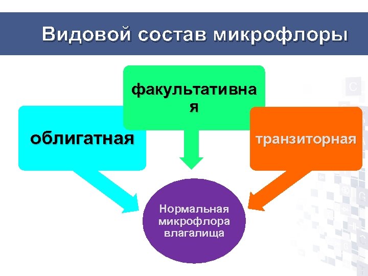 Видовой состав микрофлоры факультативна я облигатная транзиторная Нормальная микрофлора влагалища 