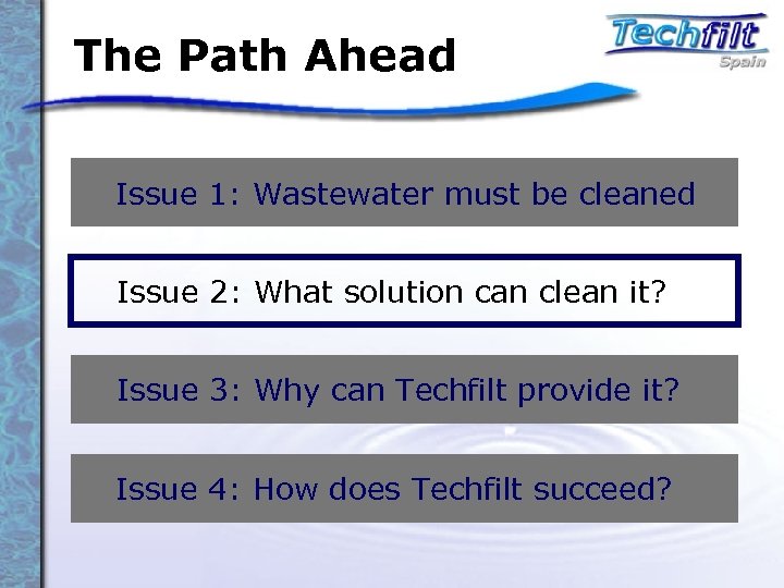 The Path Ahead Issue 1: Wastewater must be cleaned Issue 2: What solution can