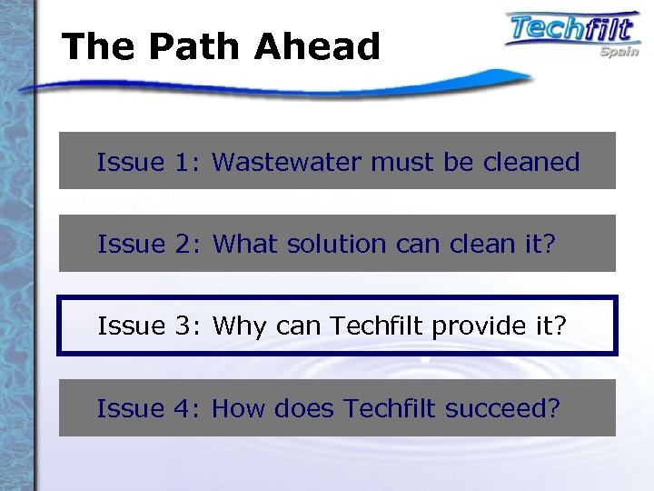 The Path Ahead Issue 1: Wastewater must be cleaned Issue 2: What solution can