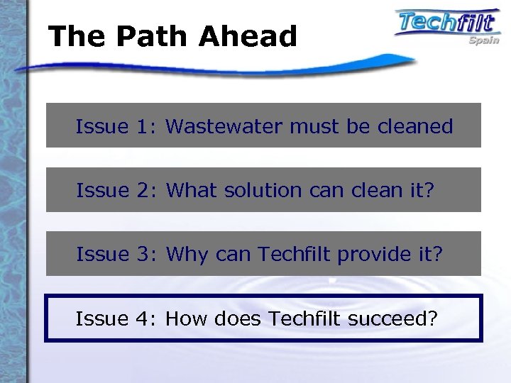 The Path Ahead Issue 1: Wastewater must be cleaned Issue 2: What solution can
