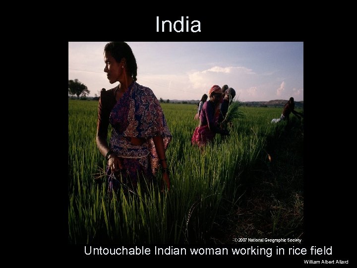 India Untouchable Indian woman working in rice field William Albert Allard 