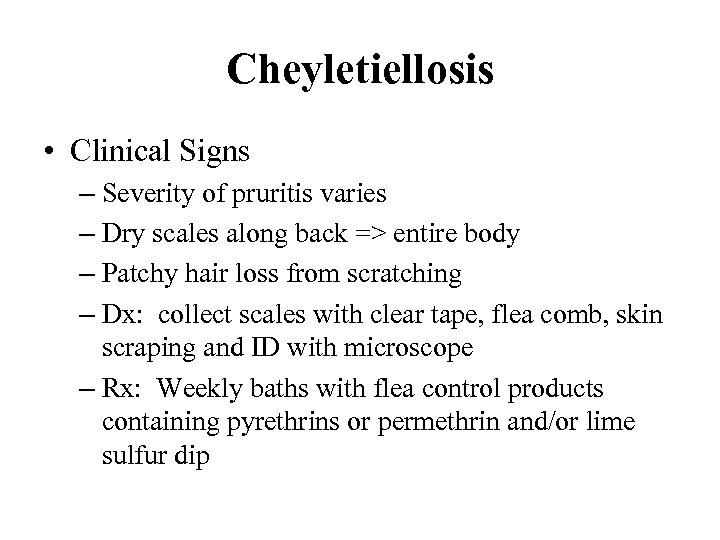 Cheyletiellosis • Clinical Signs – Severity of pruritis varies – Dry scales along back