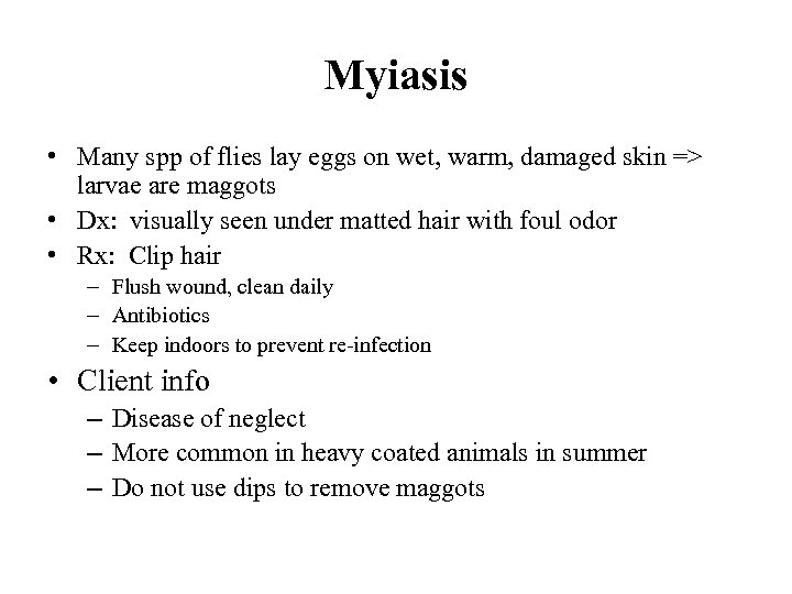 Myiasis • Many spp of flies lay eggs on wet, warm, damaged skin =>