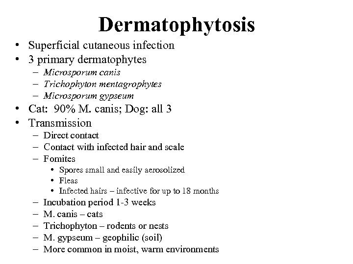 Dermatophytosis • Superficial cutaneous infection • 3 primary dermatophytes – Microsporum canis – Trichophyton