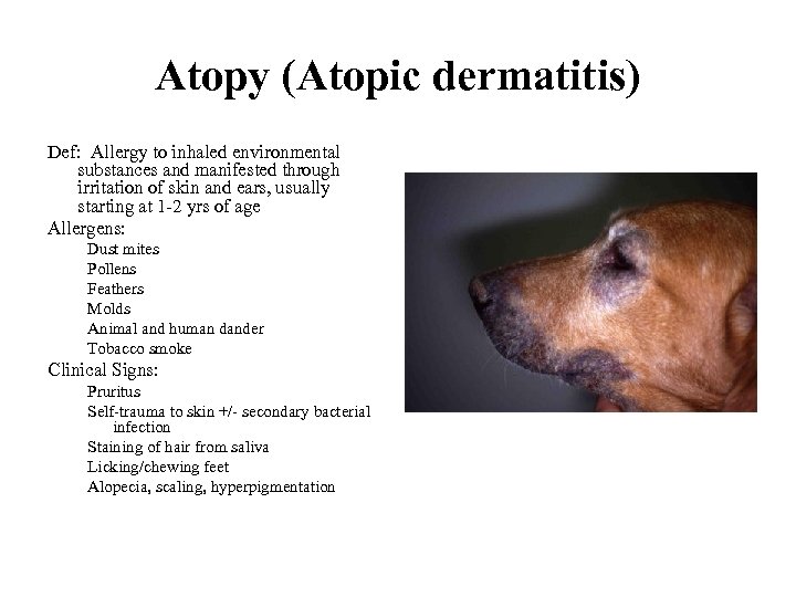 Atopy (Atopic dermatitis) Def: Allergy to inhaled environmental substances and manifested through irritation of