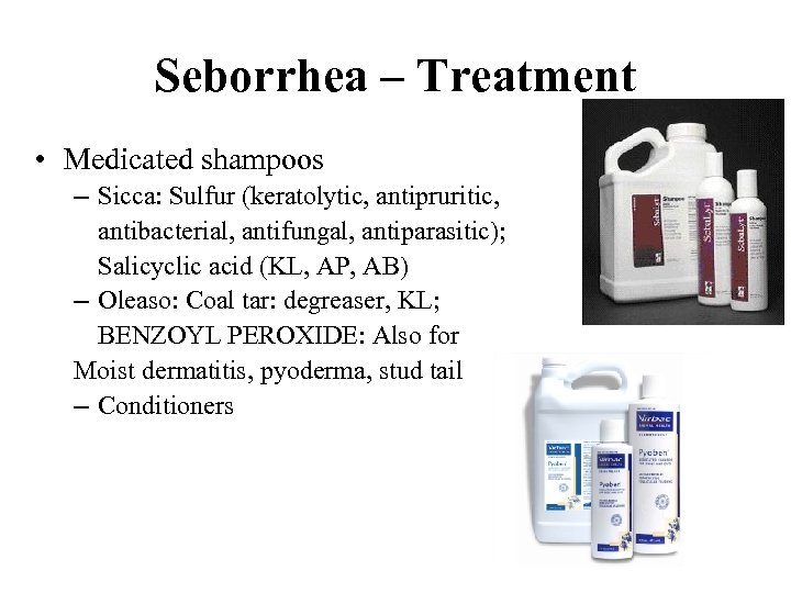 Seborrhea – Treatment • Medicated shampoos – Sicca: Sulfur (keratolytic, antipruritic, antibacterial, antifungal, antiparasitic);