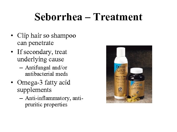 Seborrhea – Treatment • Clip hair so shampoo can penetrate • If secondary, treat