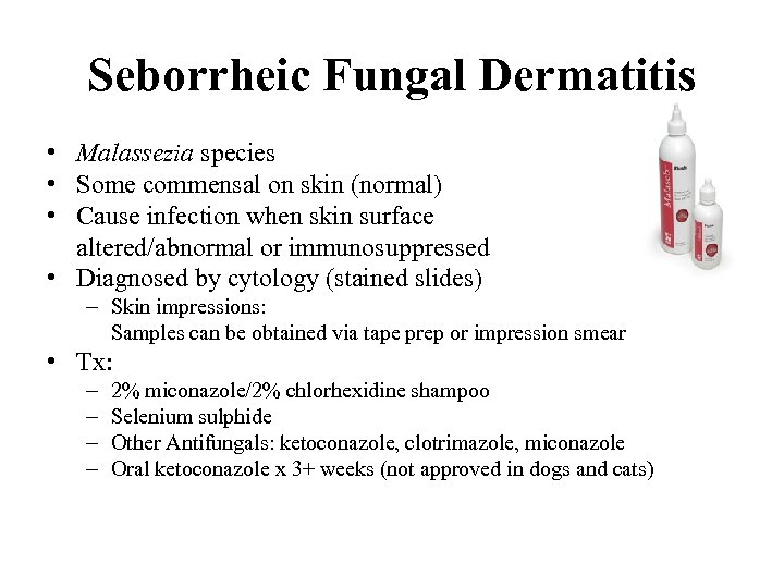 Seborrheic Fungal Dermatitis • Malassezia species • Some commensal on skin (normal) • Cause