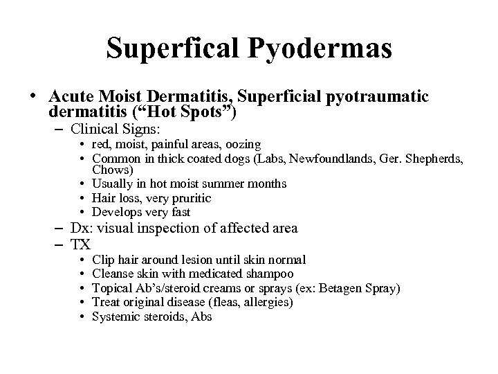 Superfical Pyodermas • Acute Moist Dermatitis, Superficial pyotraumatic dermatitis (“Hot Spots”) – Clinical Signs: