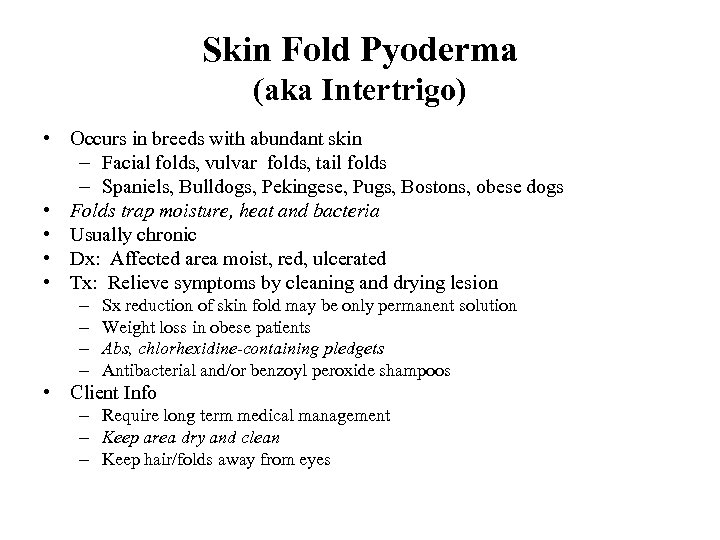 Skin Fold Pyoderma (aka Intertrigo) • Occurs in breeds with abundant skin – Facial