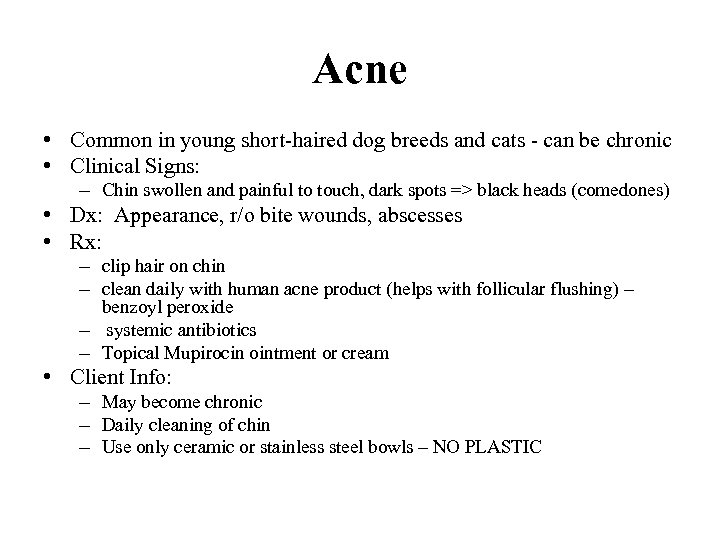 Acne • Common in young short-haired dog breeds and cats - can be chronic