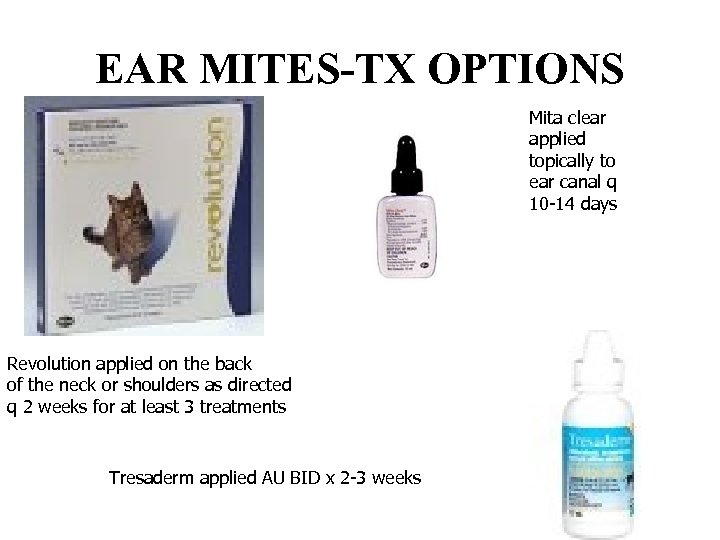 EAR MITES-TX OPTIONS Mita clear applied topically to ear canal q 10 -14 days