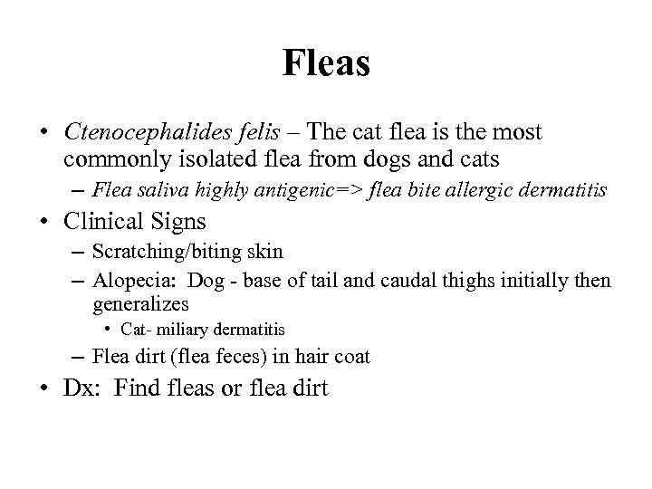 Fleas • Ctenocephalides felis – The cat flea is the most commonly isolated flea