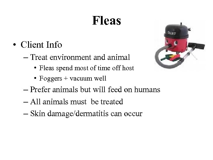 Fleas • Client Info – Treat environment and animal • Fleas spend most of