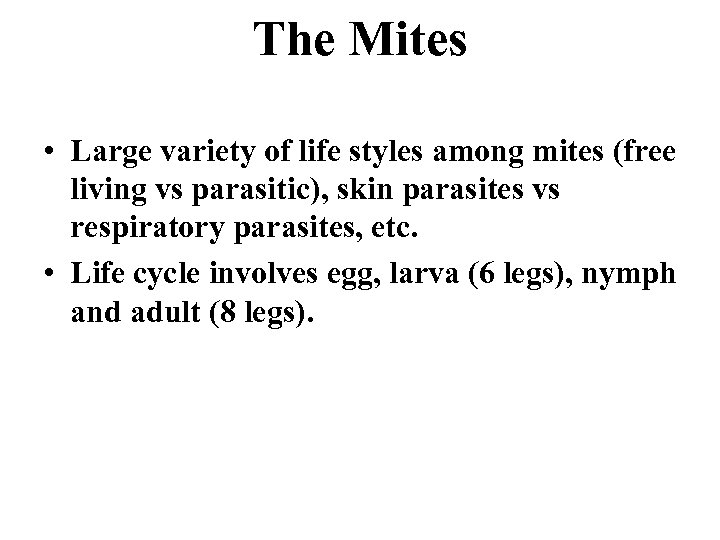 The Mites • Large variety of life styles among mites (free living vs parasitic),