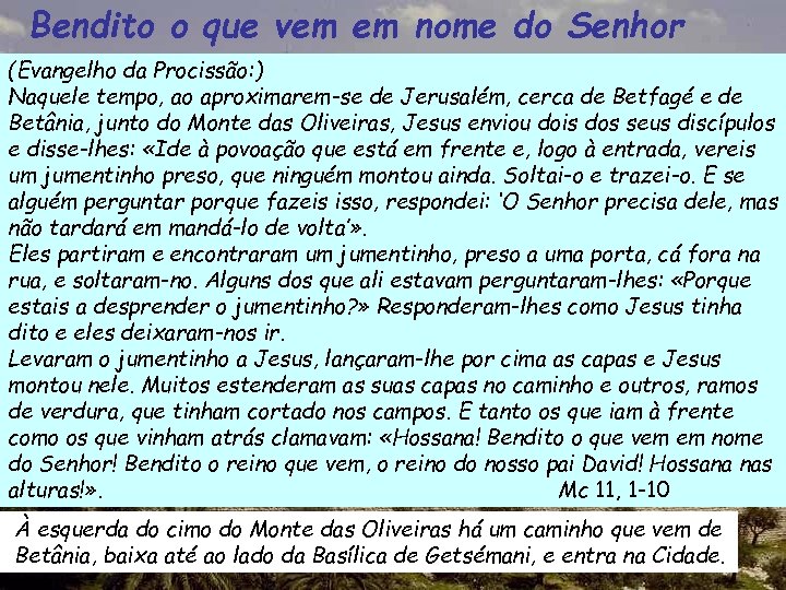 Bendito o que vem em nome do Senhor (Evangelho da Procissão: ) Naquele tempo,