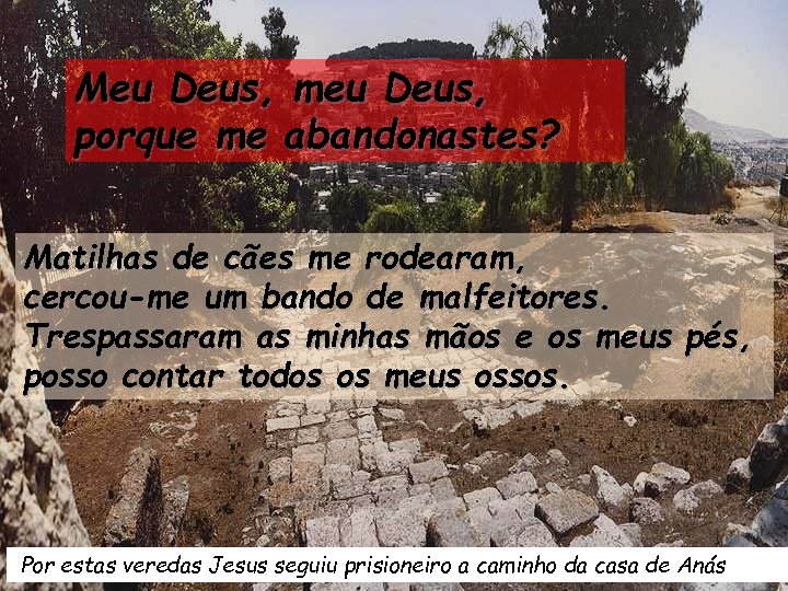 Meu Deus, meu Deus, porque me abandonastes? Matilhas de cães me rodearam, cercou-me um
