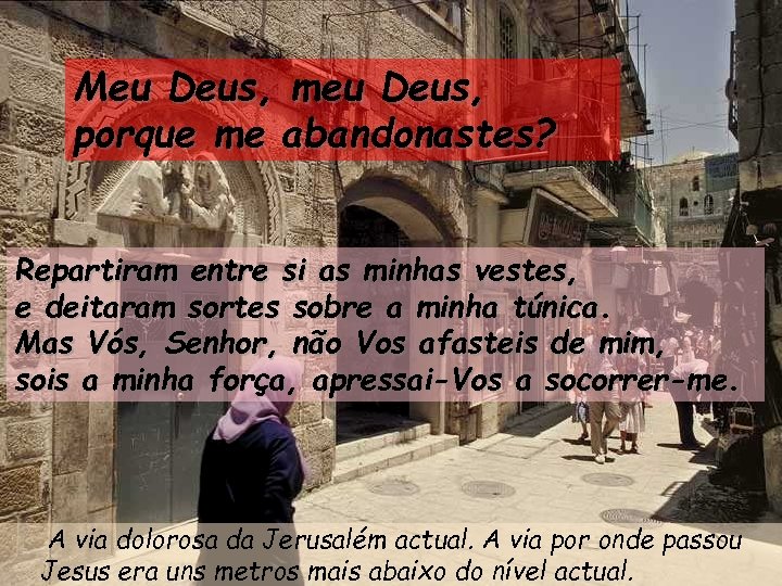 Meu Deus, meu Deus, porque me abandonastes? Repartiram entre si as minhas vestes, e