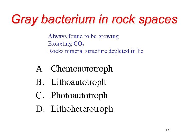 Gray bacterium in rock spaces Always found to be growing Excreting CO 2 Rocks