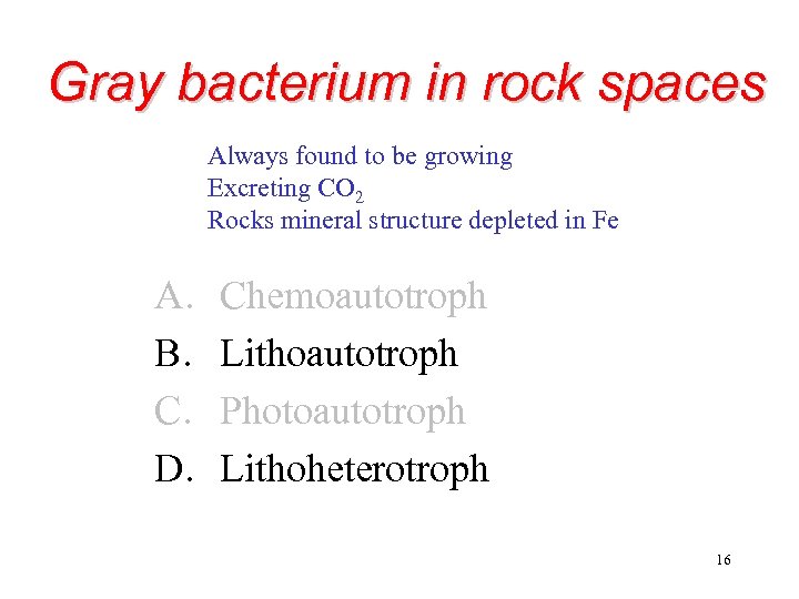 Gray bacterium in rock spaces Always found to be growing Excreting CO 2 Rocks