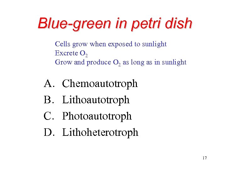 Blue-green in petri dish Cells grow when exposed to sunlight Excrete O 2 Grow