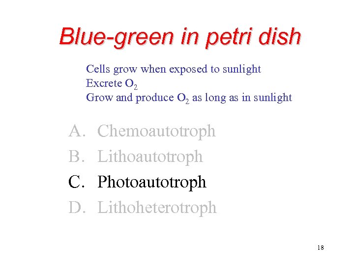 Blue-green in petri dish Cells grow when exposed to sunlight Excrete O 2 Grow