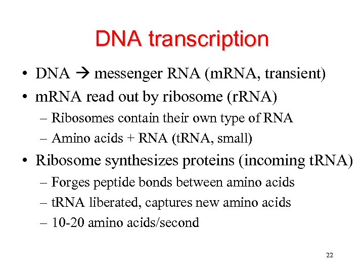 DNA transcription • DNA messenger RNA (m. RNA, transient) • m. RNA read out