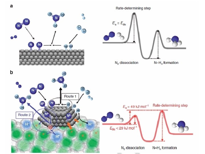 Role of minerals • Support – Amino acids polymerize on surfaces • Selection –