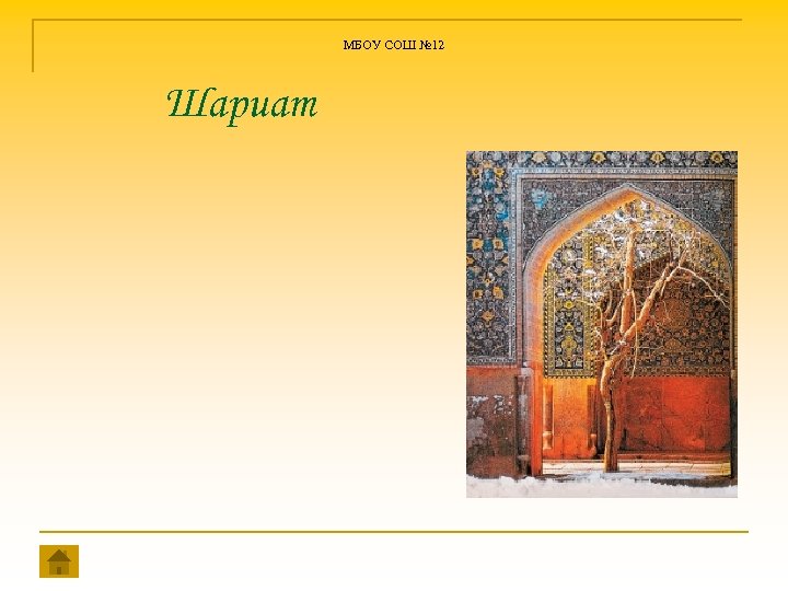 МБОУ СОШ № 12 Шариат 