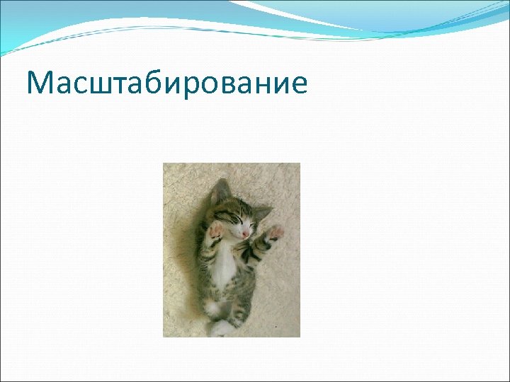 Масштабирование 