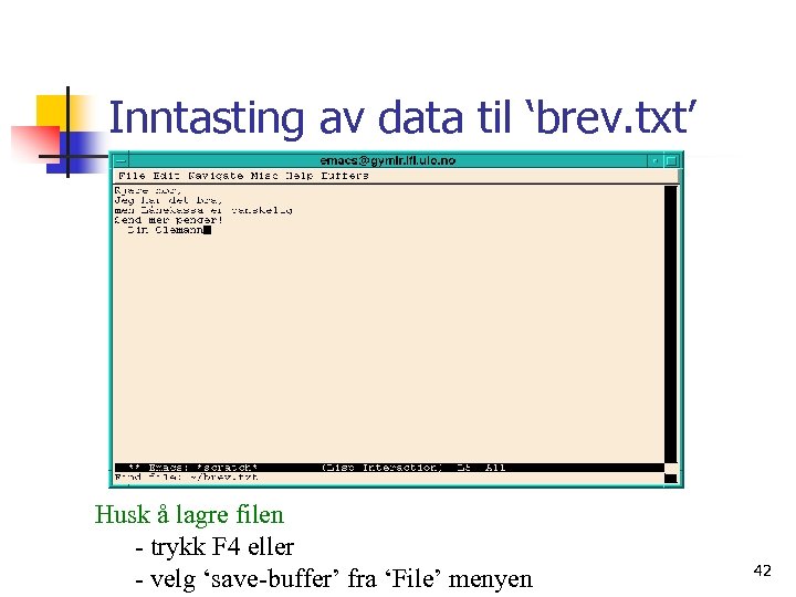 Inntasting av data til ‘brev. txt’ Husk å lagre filen - trykk F 4