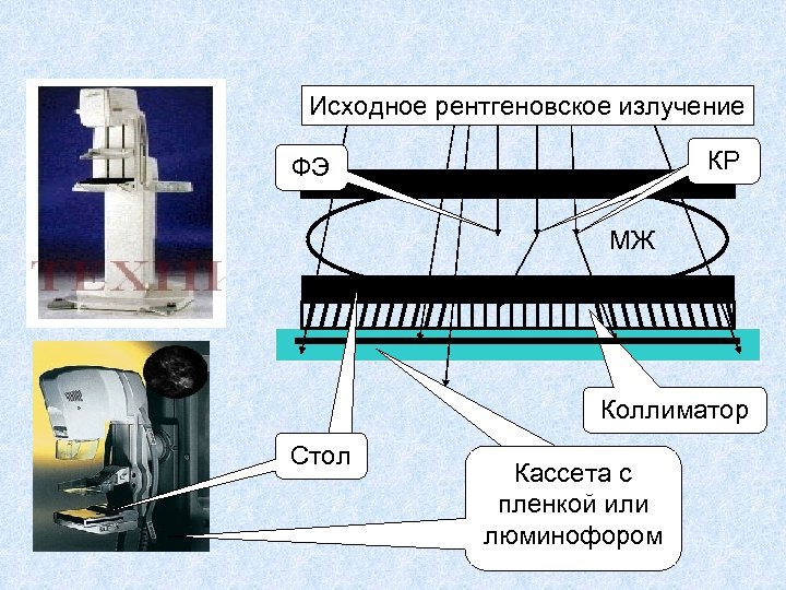 Исходное рентгеновское излучение КР ФЭ МЖ Коллиматор Стол Кассета с пленкой или люминофором 