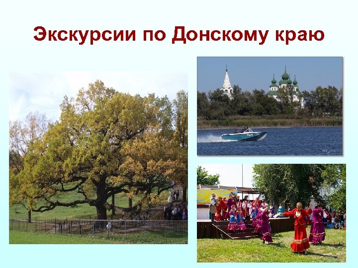 Экскурсии по Донскому краю 