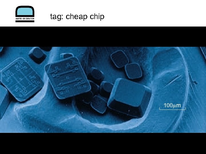 tag: cheap chip 100 mm 