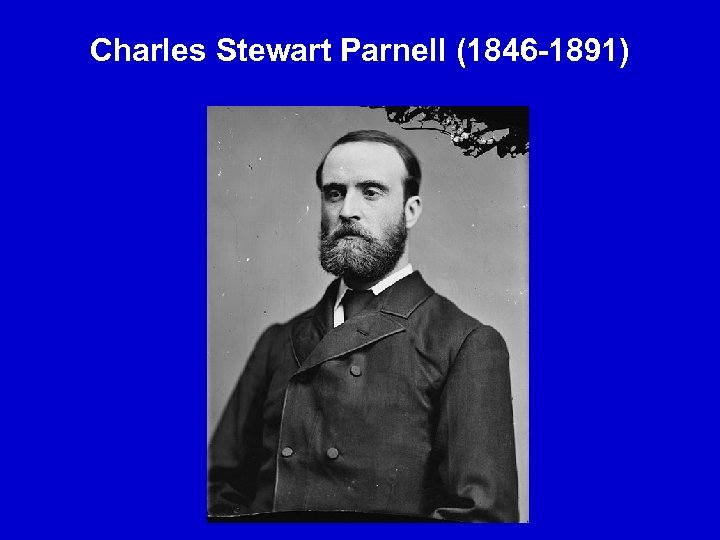 Charles Stewart Parnell (1846 -1891) 