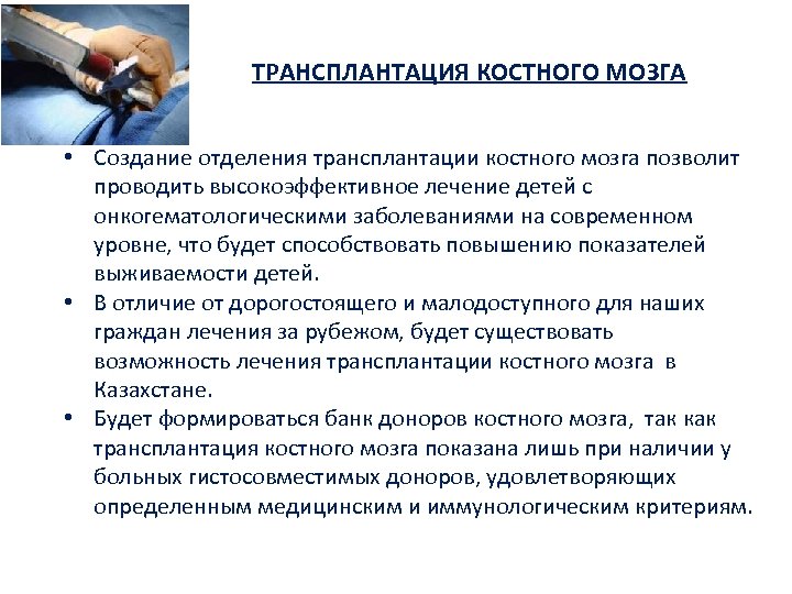 Трансплантация костного мозга презентация