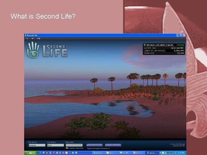 What is Second Life? 