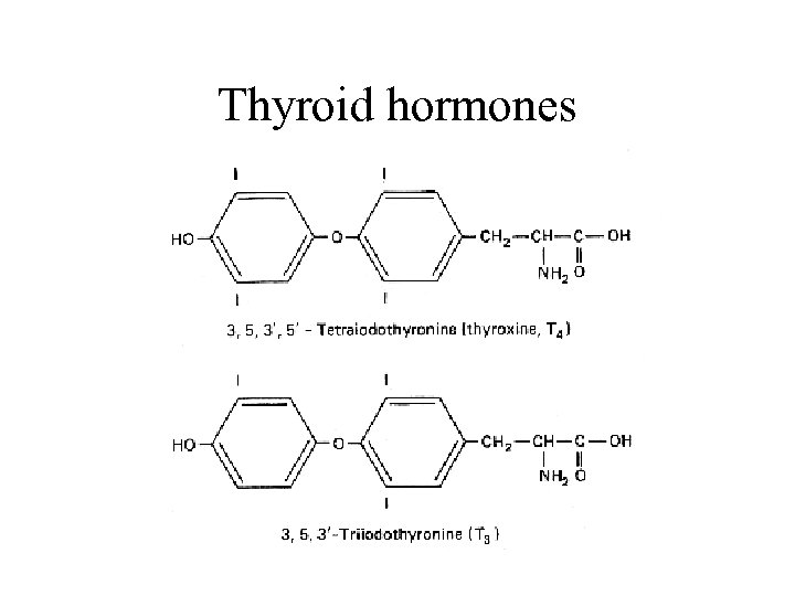 Thyroid hormones 