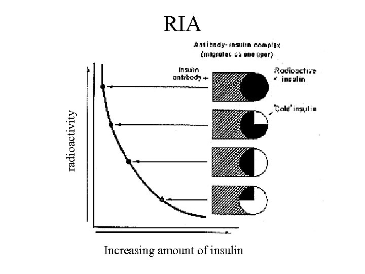 radioactivity RIA Increasing amount of insulin 