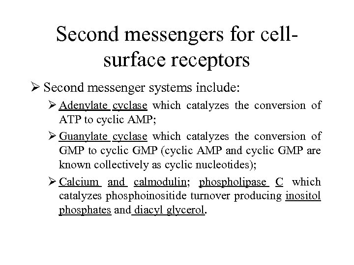 Second messengers for cellsurface receptors Ø Second messenger systems include: Ø Adenylate cyclase which