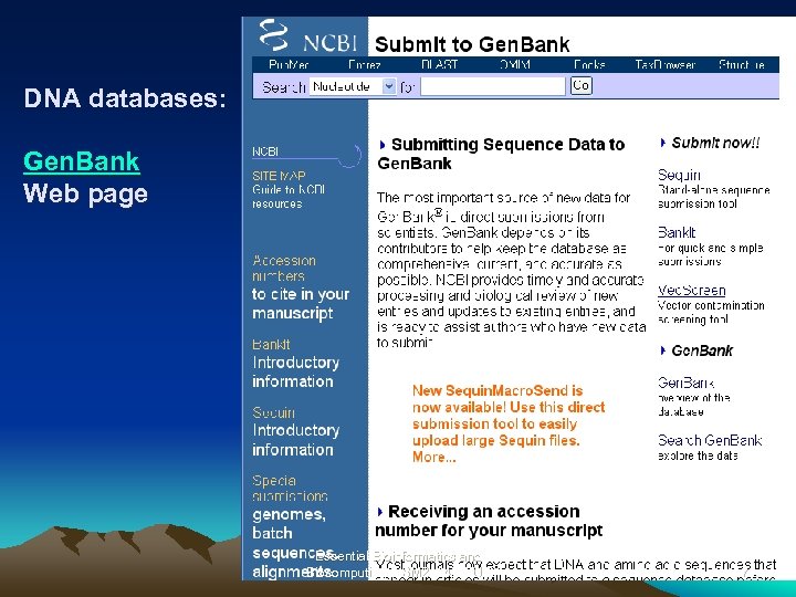 DNA databases: Gen. Bank Web page Essential Bioinformatics and Biocomputing (LSM 2104), NUS 17