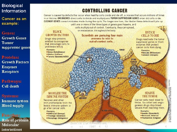 Biological Information Cancer as an example: Genes: Growth Genes Tumor suppressor genes Proteins: Growth