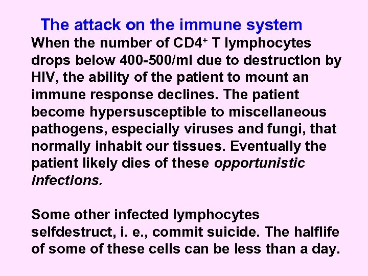 The attack on the immune system When the number of CD 4+ T lymphocytes